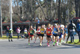 Fotografias San Silvestre Salmantina