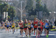 Fotografias San Silvestre Salmantina
