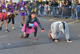 Fotografias San Silvestre Salmantina