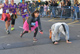 Fotografias San Silvestre Salmantina